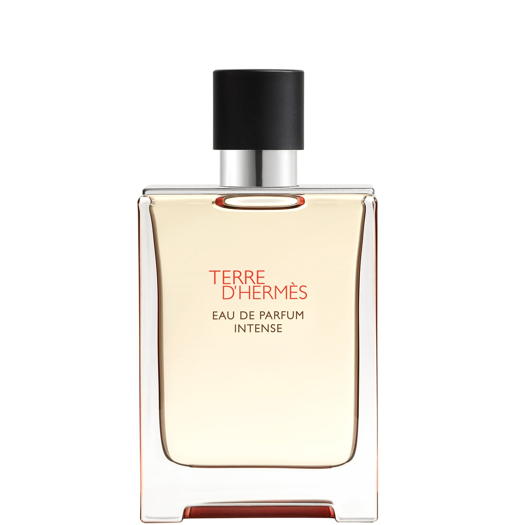 Hermès — Hermès Terre d'Hermès Eau de Parfum Intense 100ml