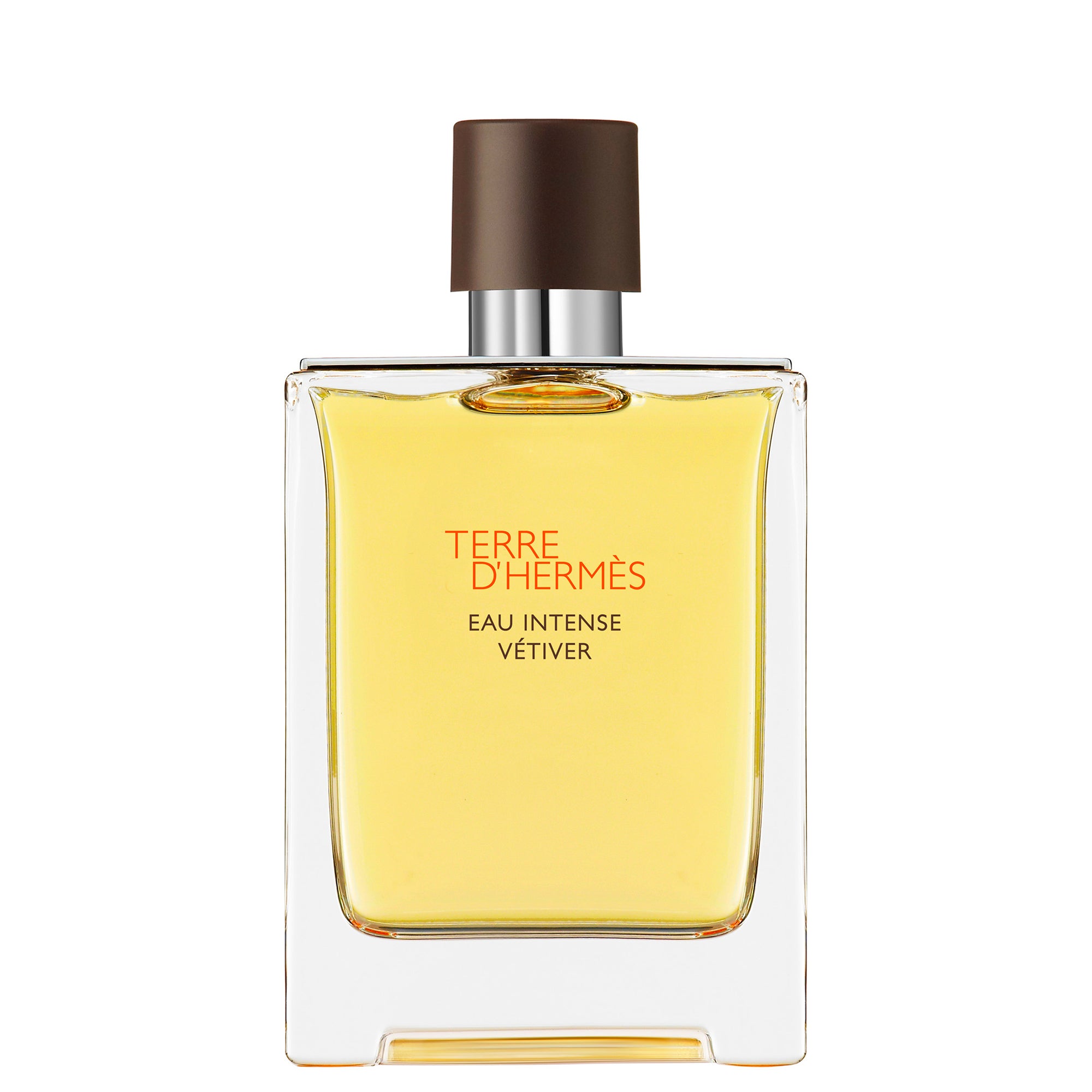 Hermès — Hermès Terre d'Hermès Eau Intense Vétiver Eau de Parfum