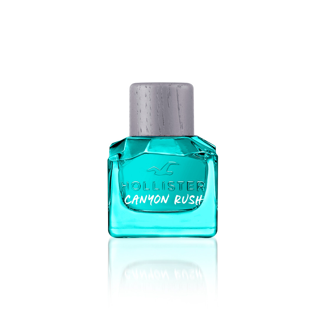 Hollister — Canyon Rush For Him
