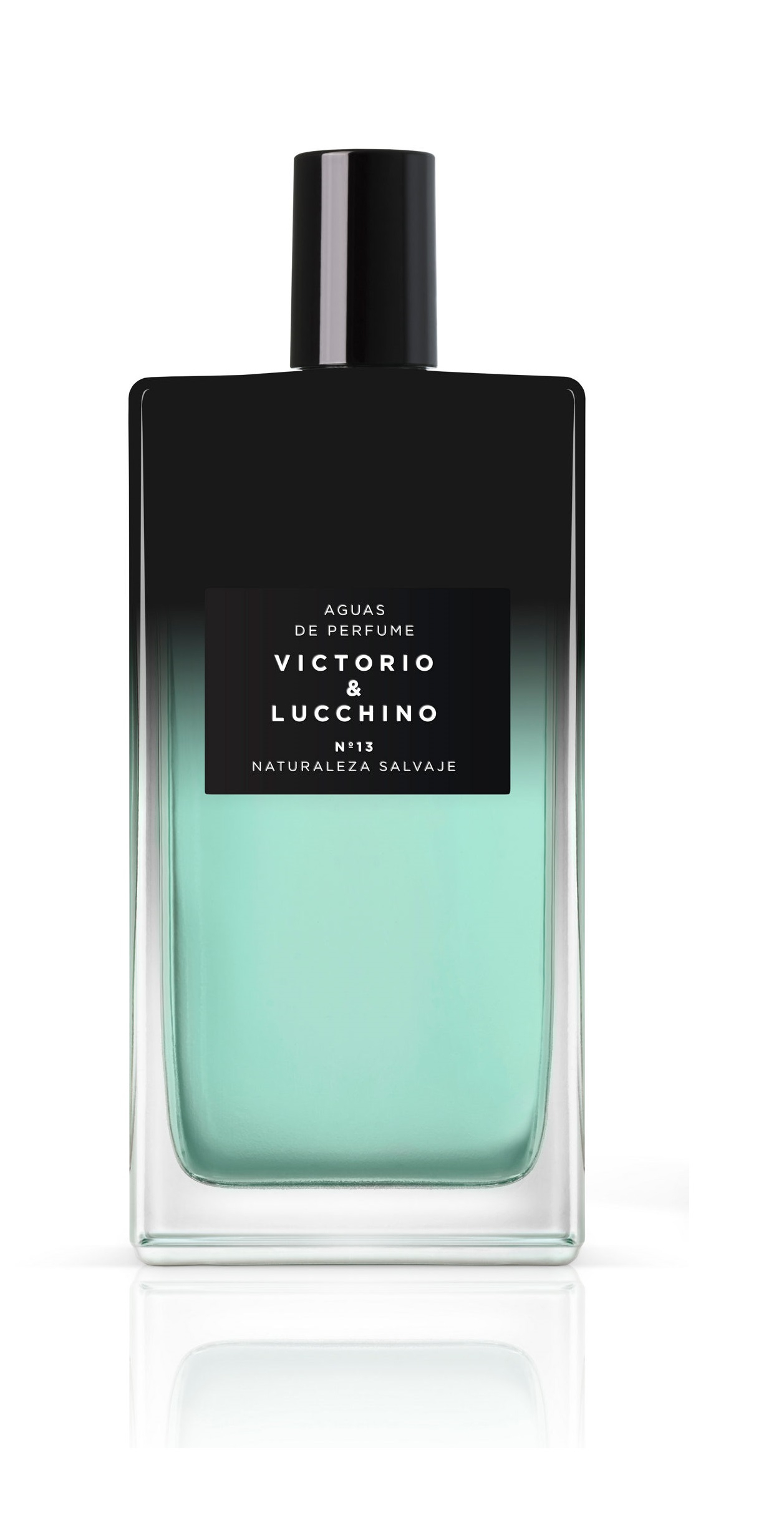 Victorio & Lucchino — Aguas Masculinas de V&L Nº13 Naturaleza Salvaje Eau de Parfum