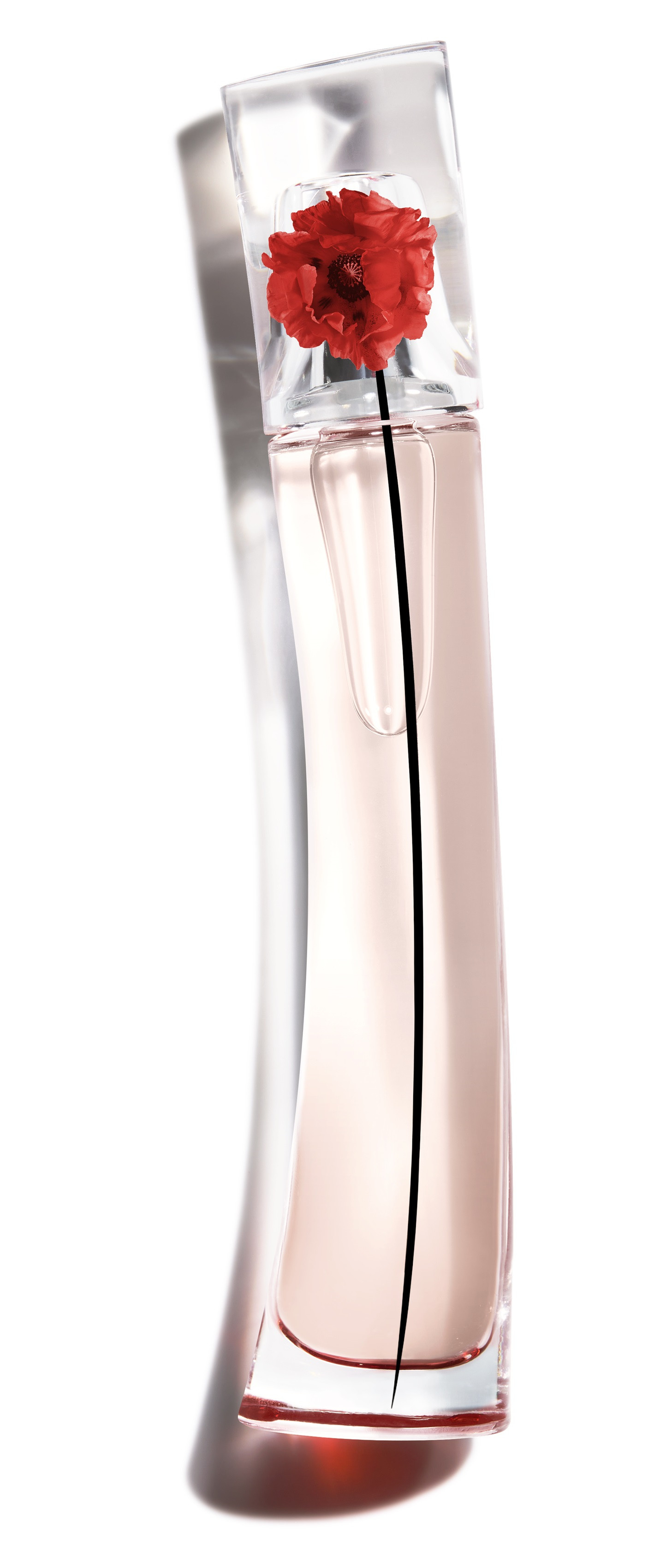 Kenzo — Flower by Kenzo L'Absolue EDP